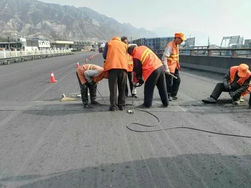 道真道路桥梁病害治理